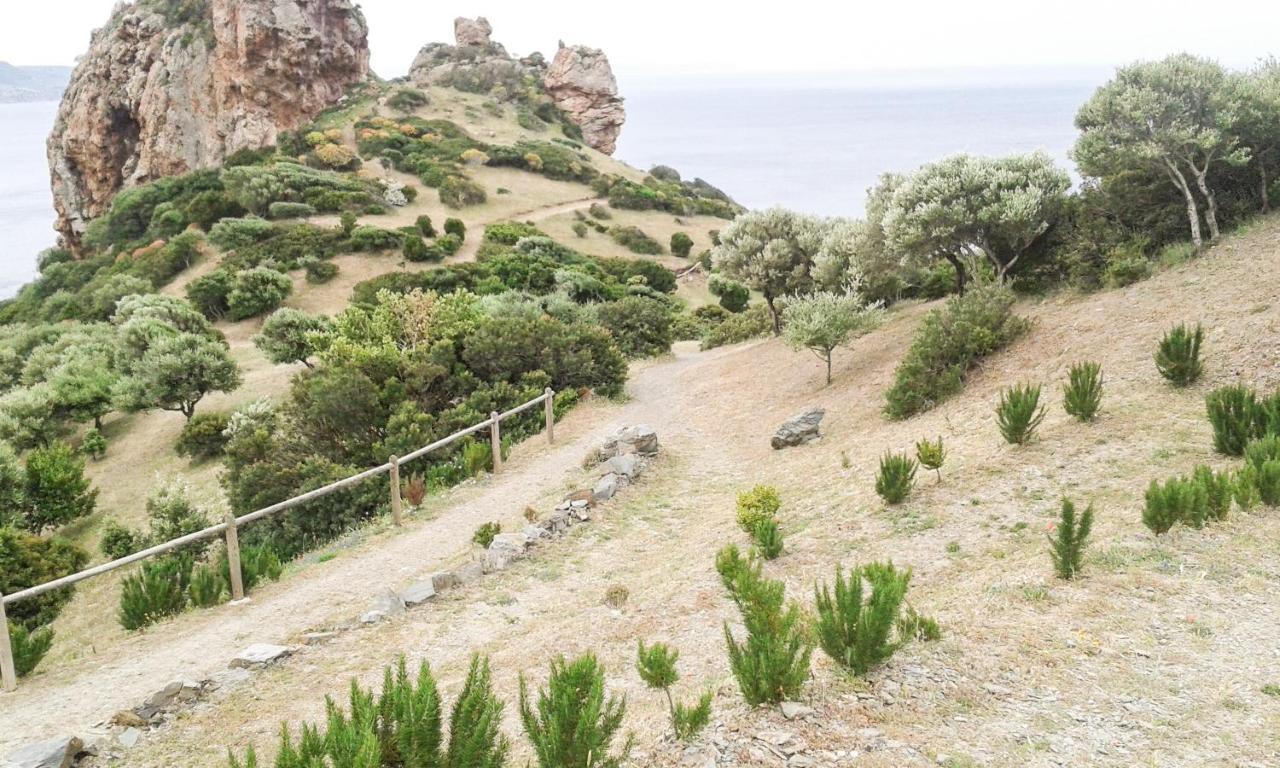 La Terrazza Fiorita Villa Nebida Esterno foto